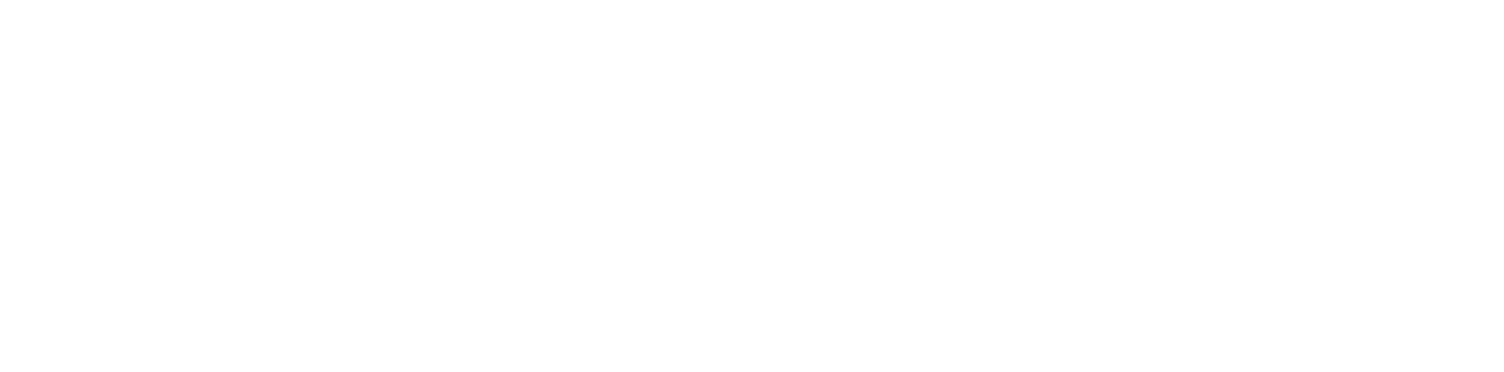 logo_zerbmaster
